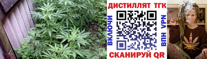 Дистиллят ТГК жижа  МЕГА ссылка  Трёхгорный 