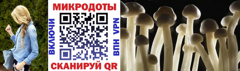 Галлюциногенные грибы прущие грибы  это формула  Трёхгорный 